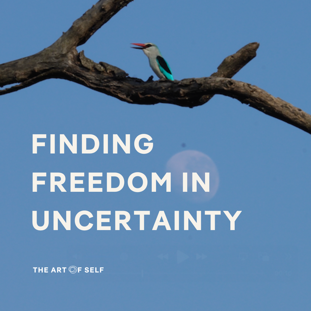 ReWild Your Leadership: Finding freedom in uncertainty