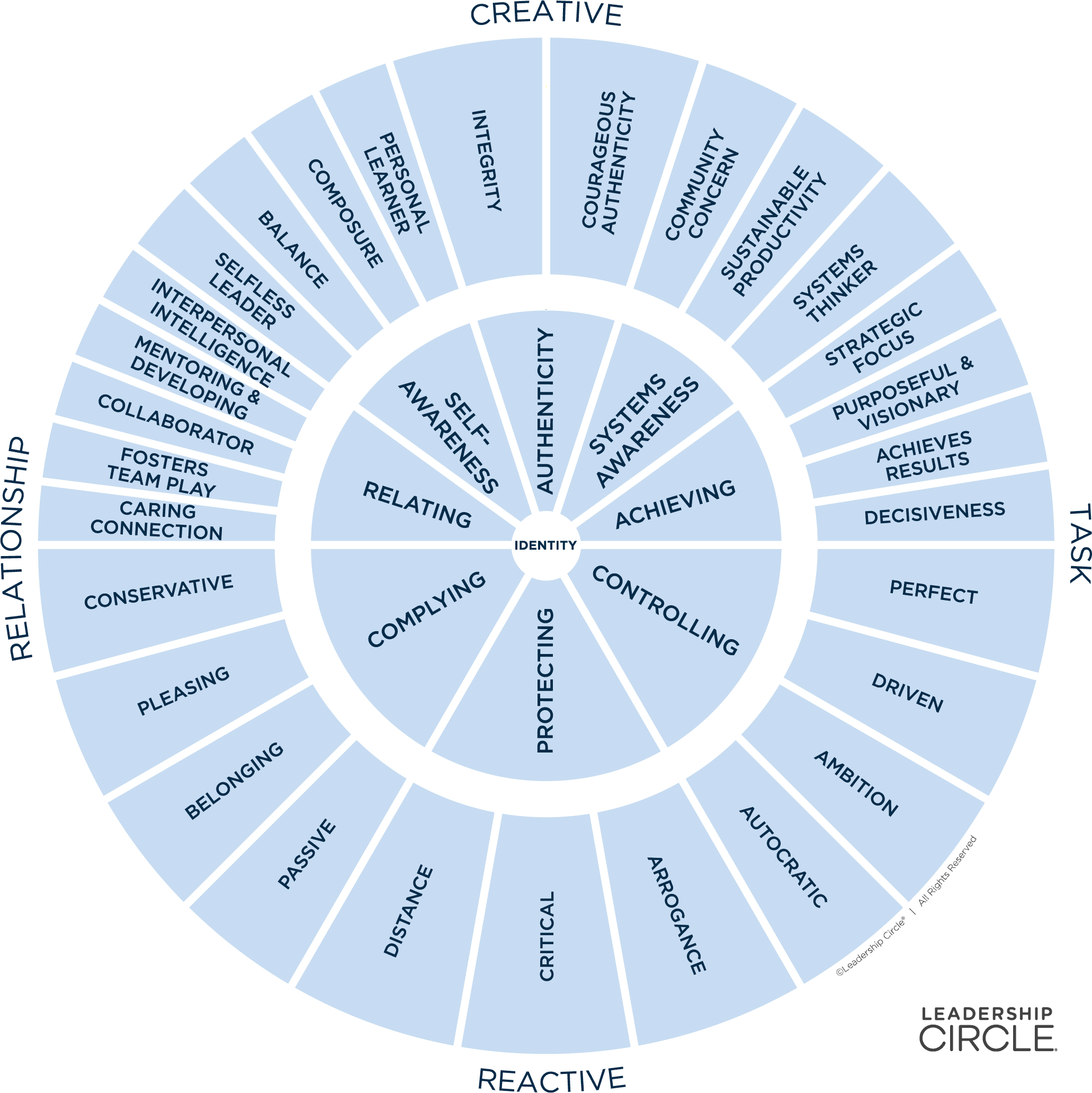 Leadership Circle Dimensions shown in a circle in light blue