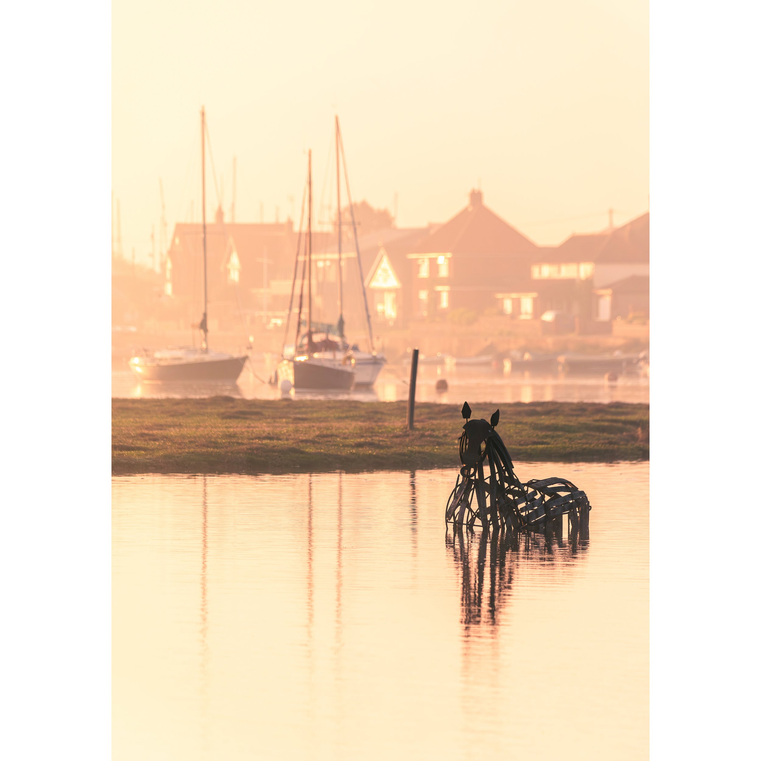 _Y0A5545-Enhanced-NR.jpg