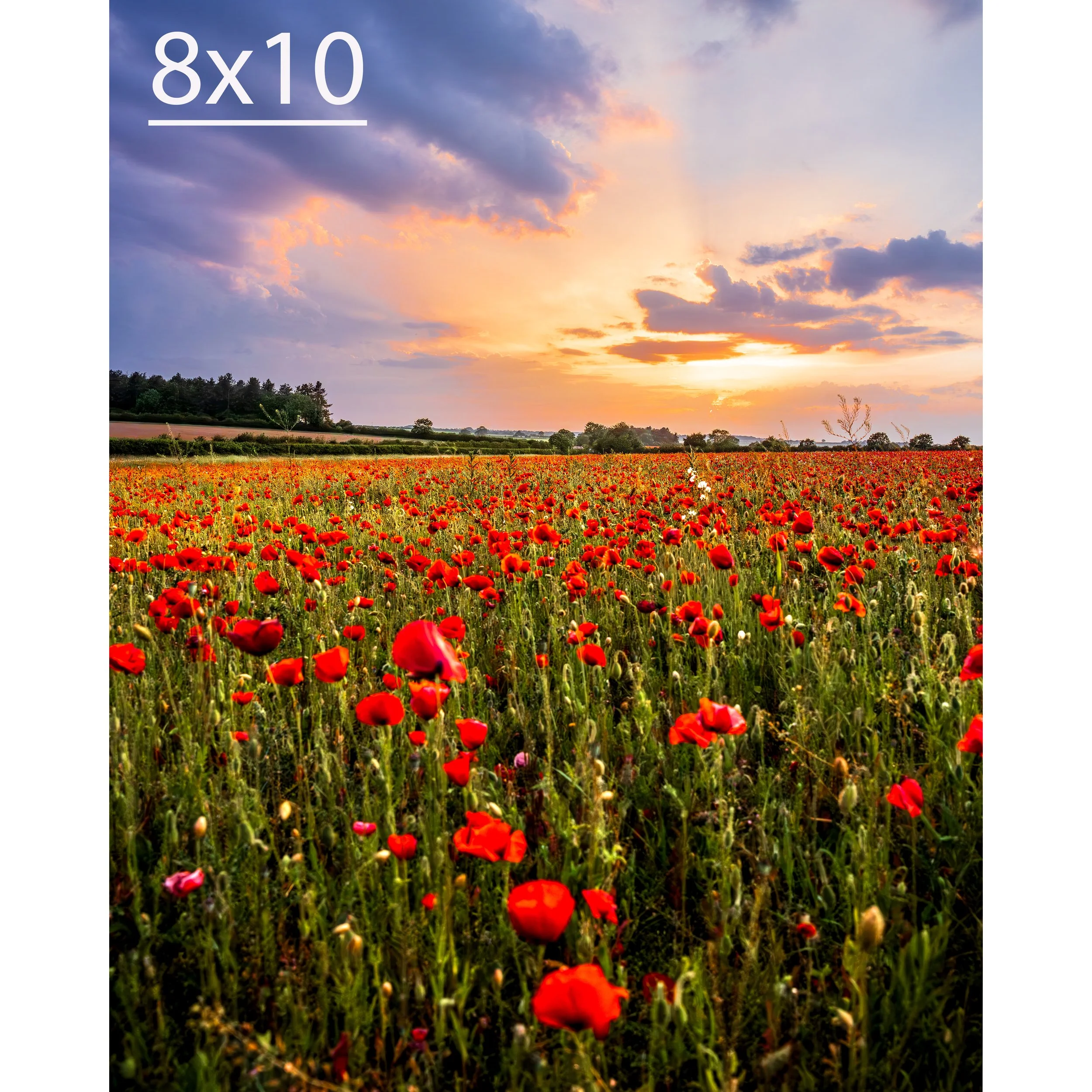 031A2739-HDR copy.jpg