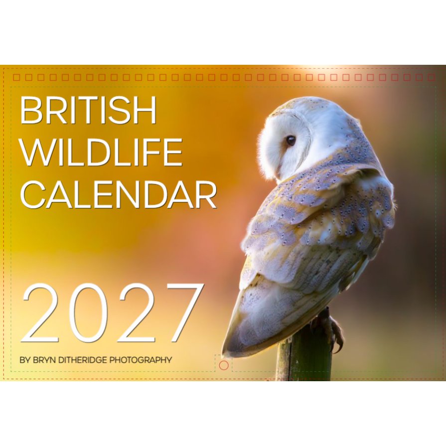 Screenshot 2026-04-17 142539 copy.jpg