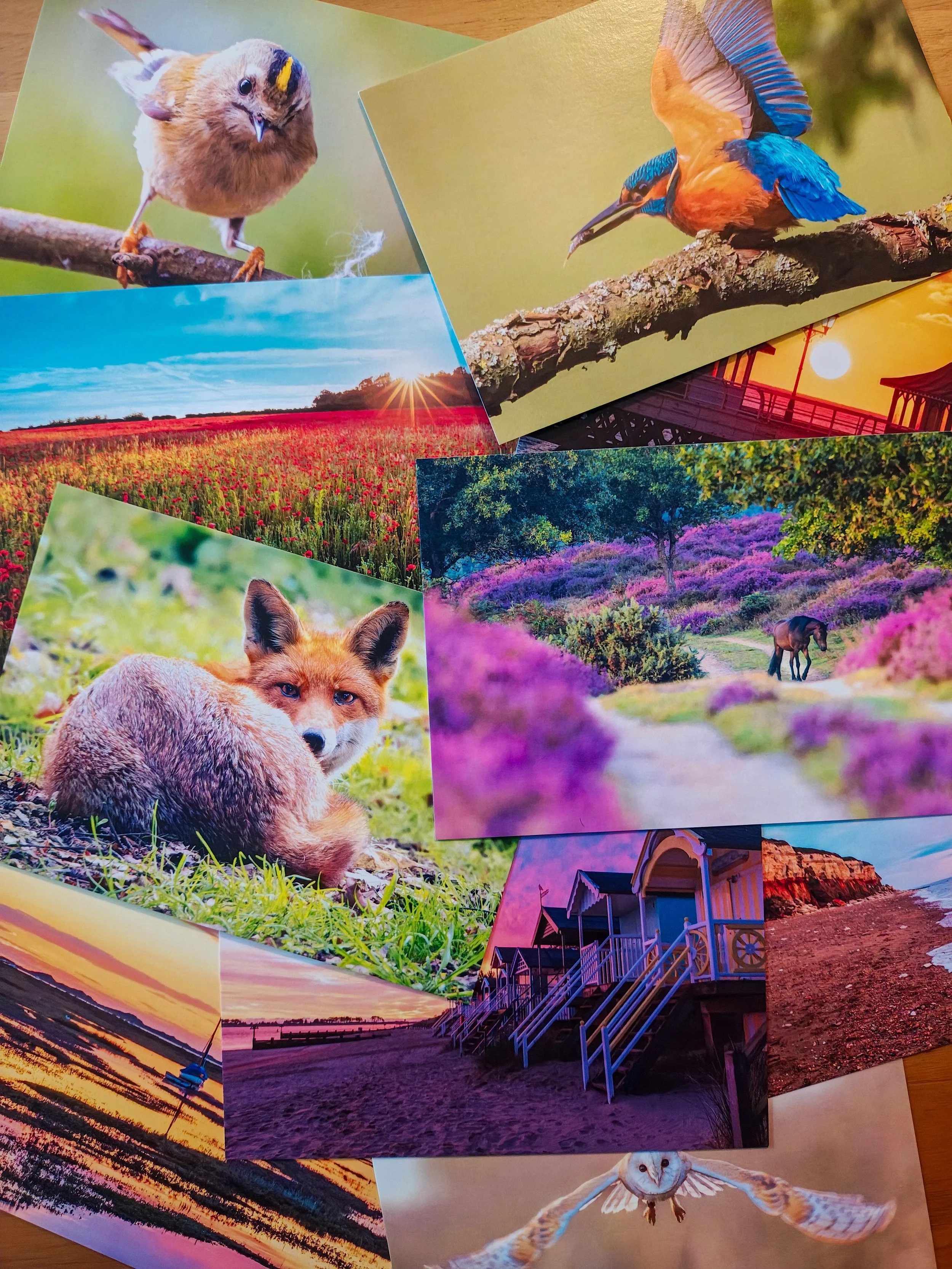 POSTCARD ENTRY WEEK 2