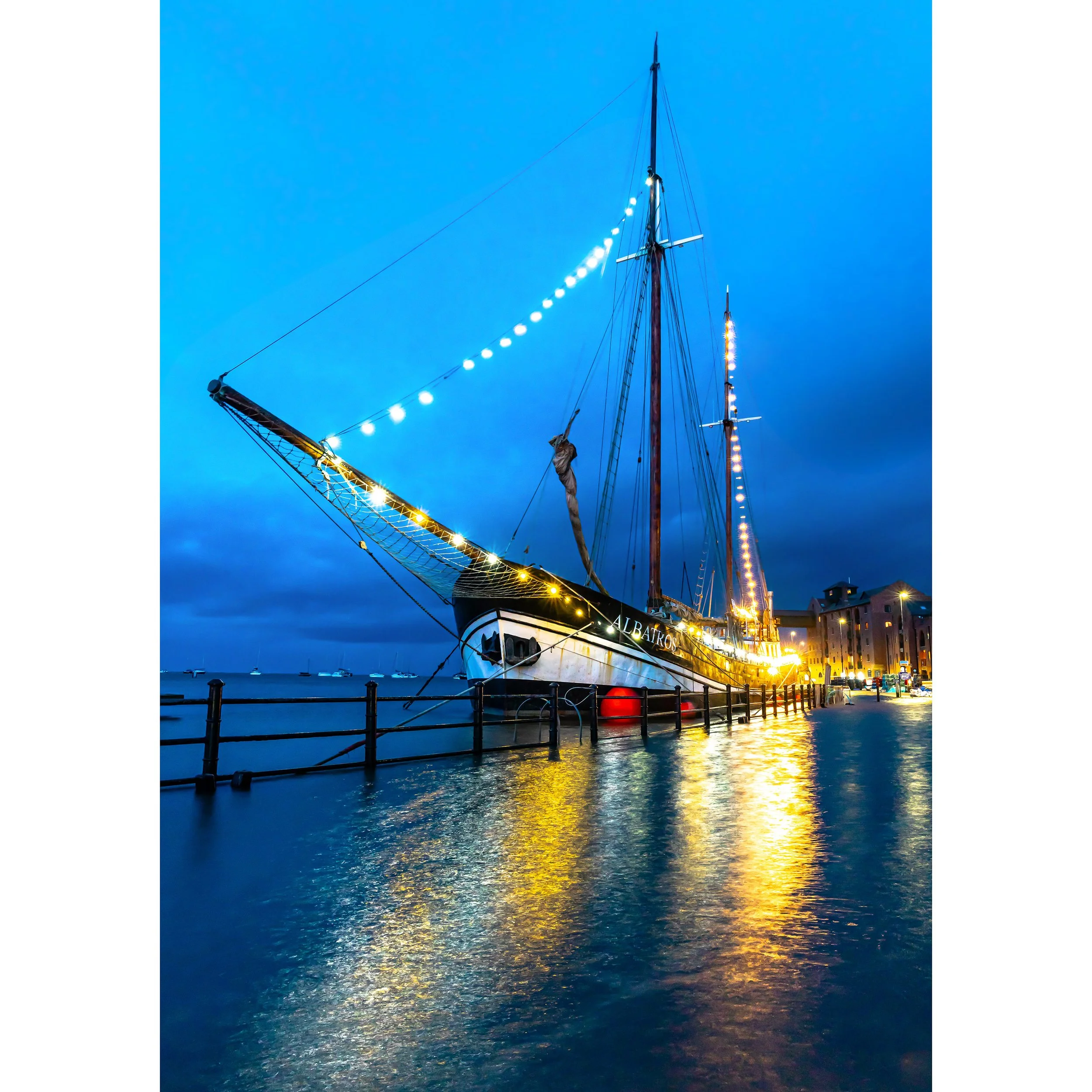 ALBATROS HIGH TIDE PRINT