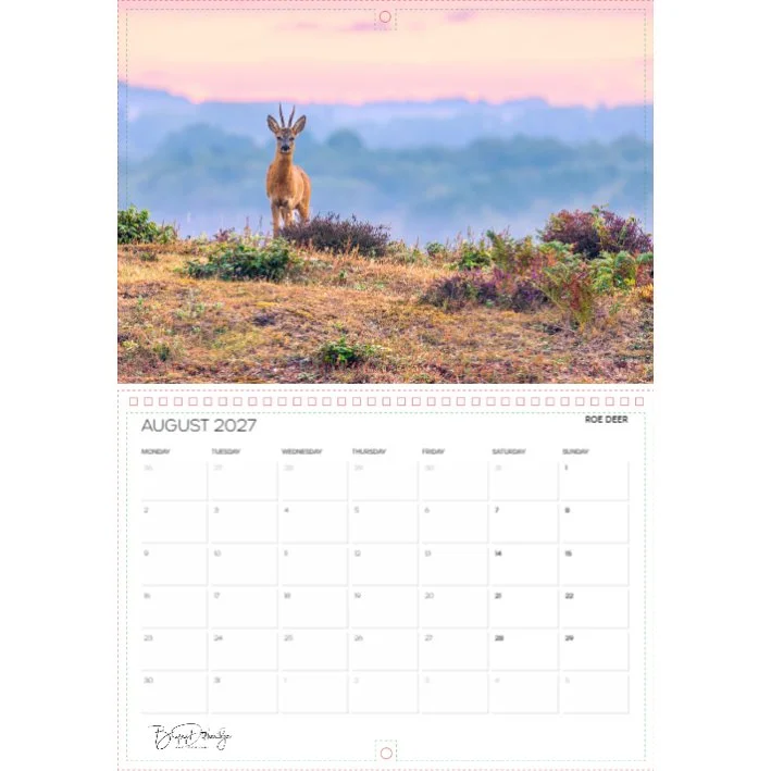 Screenshot 2026-04-17 142647 copy.jpg