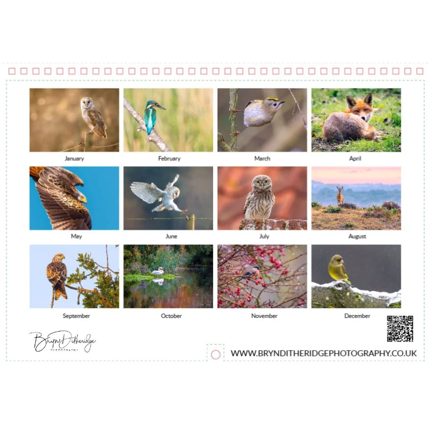 Screenshot 2026-04-17 142717 copy.jpg