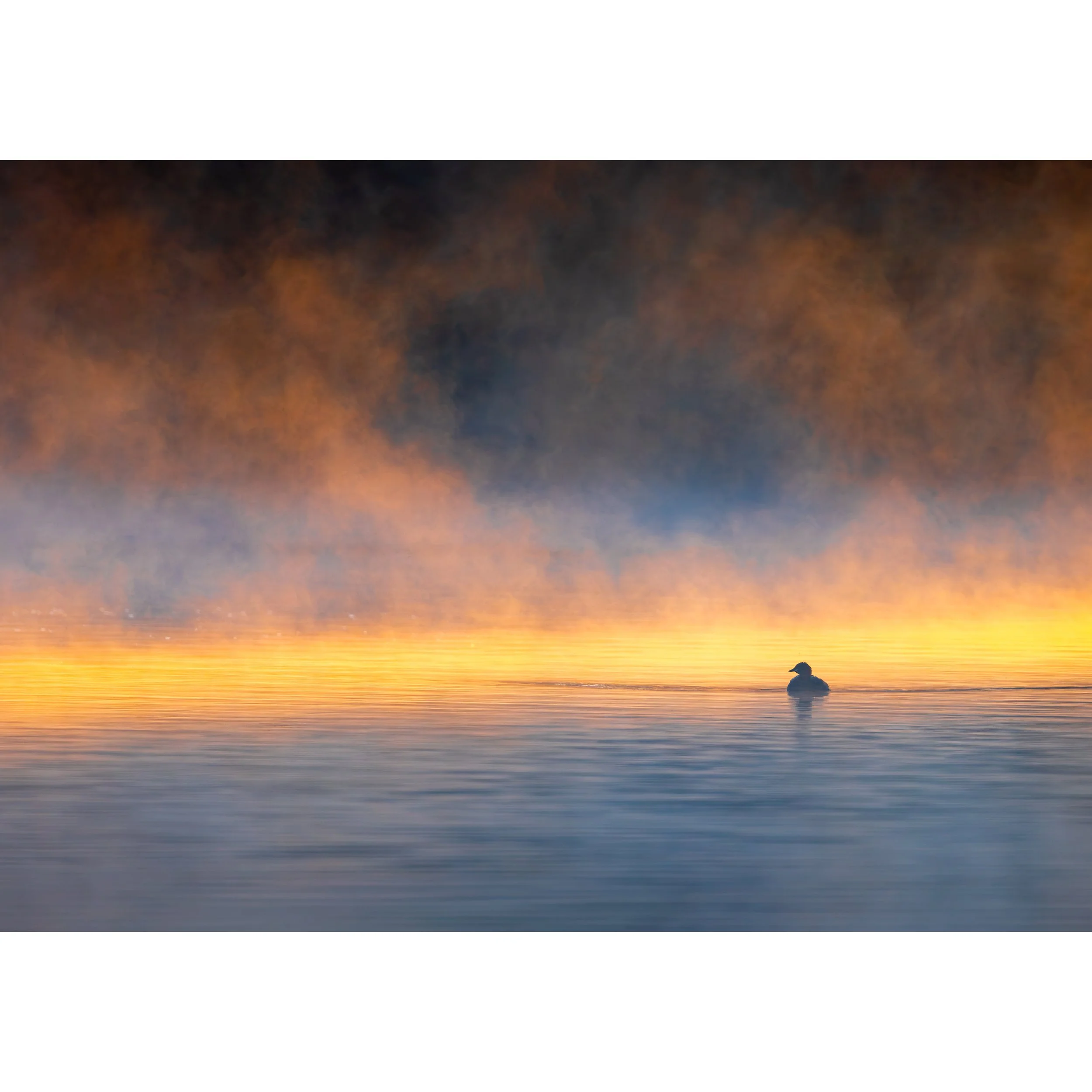 "Alone in the Mist" Print