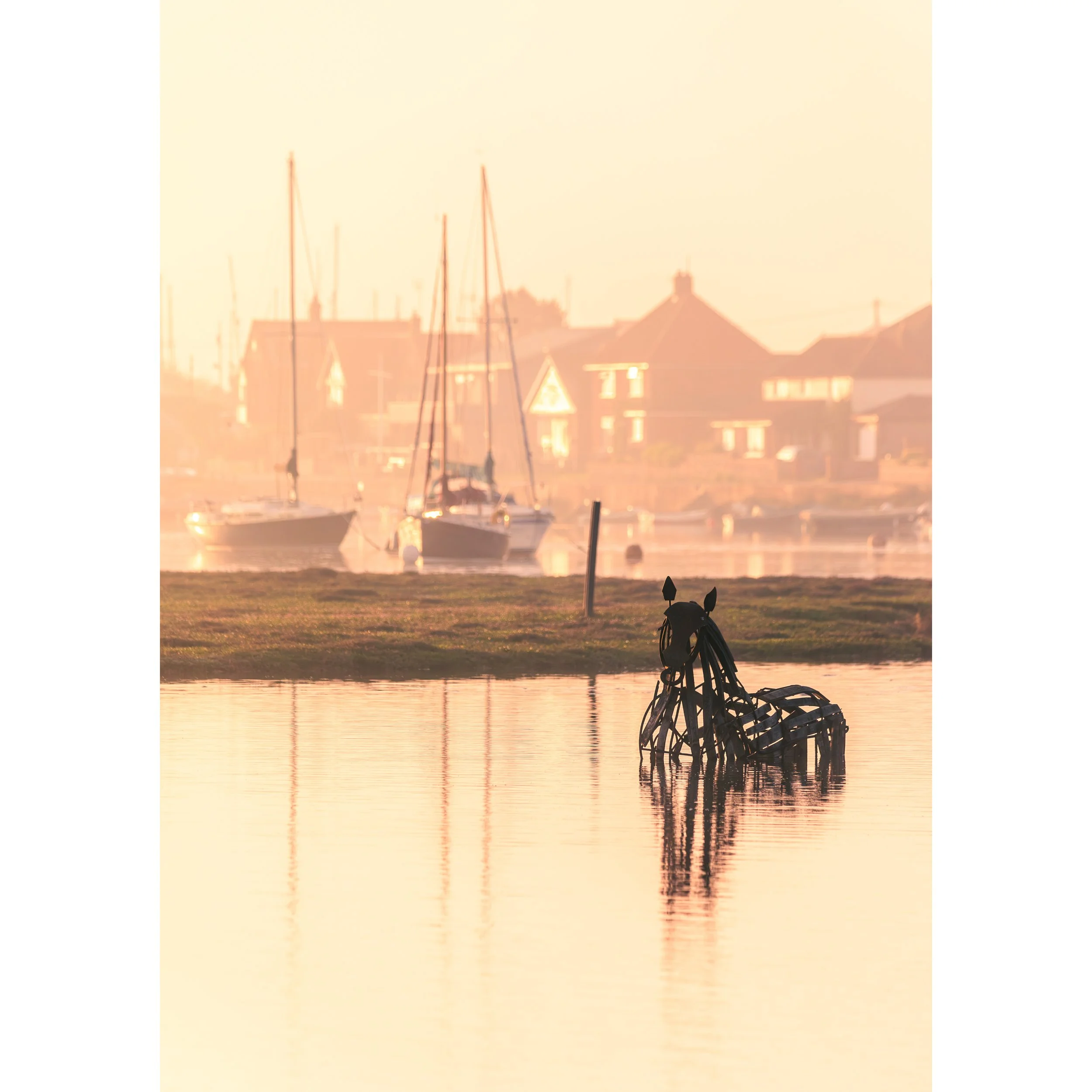 _Y0A5545-Enhanced-NR.jpg