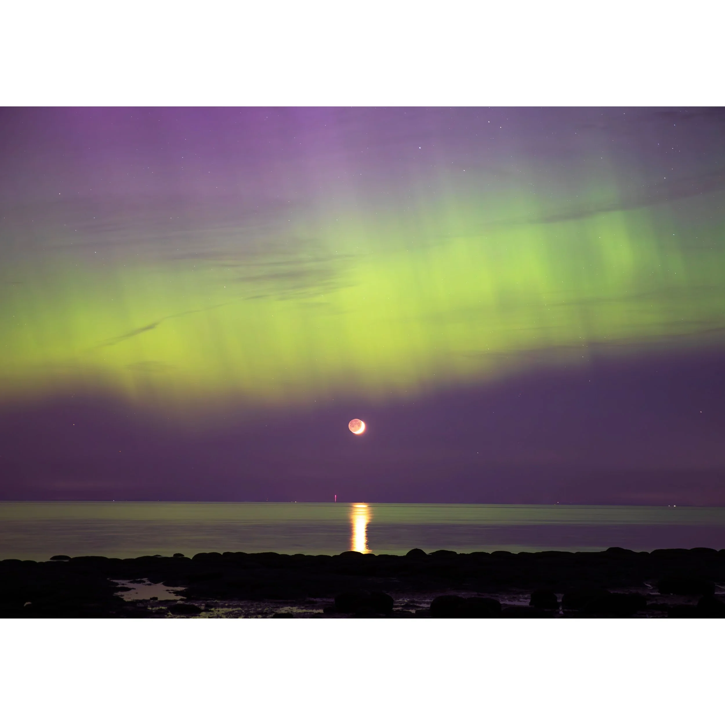 _Y0A5908-Enhanced-NR copy.jpg