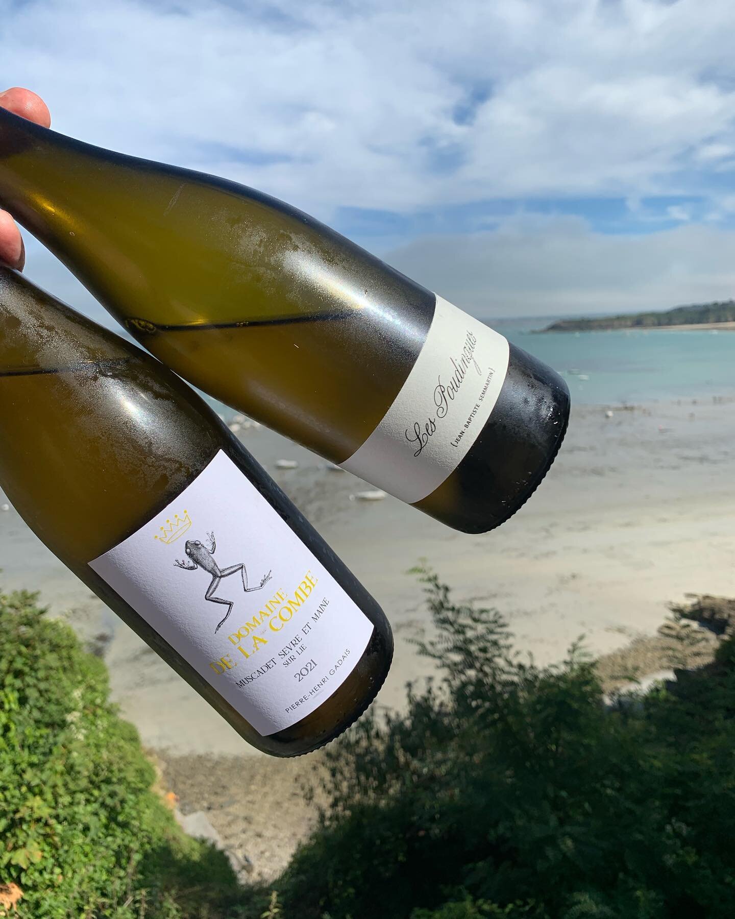 [coups de coeur]

2 vins 
2 r&eacute;gions 
2 styles 

Muscadet &amp; Juran&ccedil;on Sec 
🦀🦪 =&gt; accord parfait 😉

On en parle autour d&rsquo;un verre en d&eacute;gustation 😉 (c&eacute;pages, terroir&hellip;)

@domaine_lajibe @pierrehenrigadai