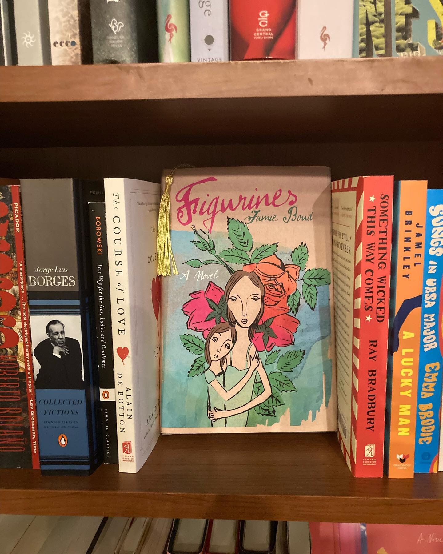 My book, Figurines, now available @spottydogbooks in #hudsonny 🙏