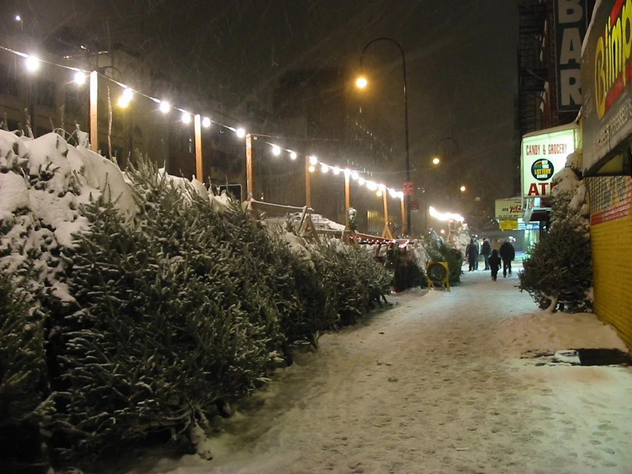 You’ve Got the Look