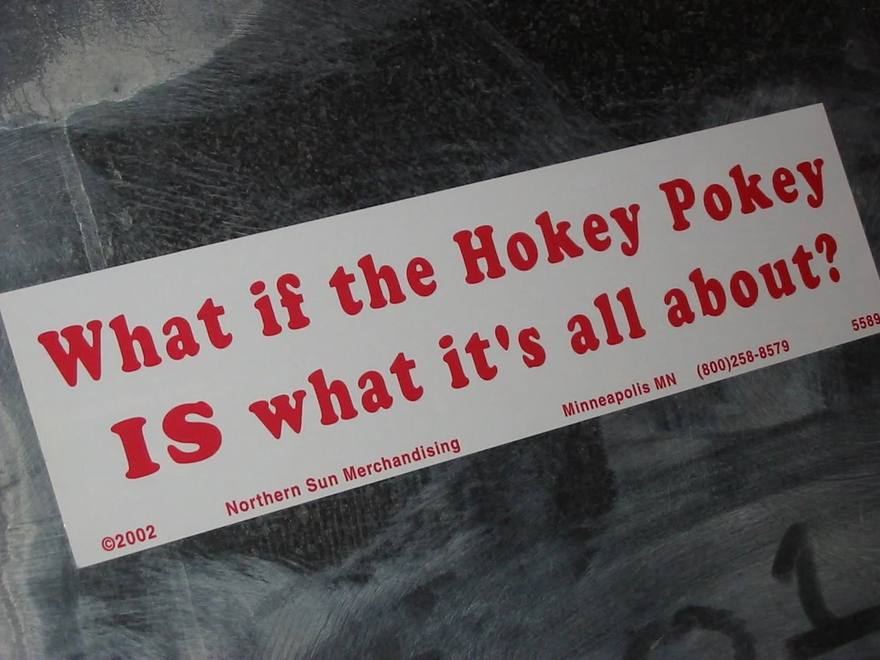 Doppelganger dot com