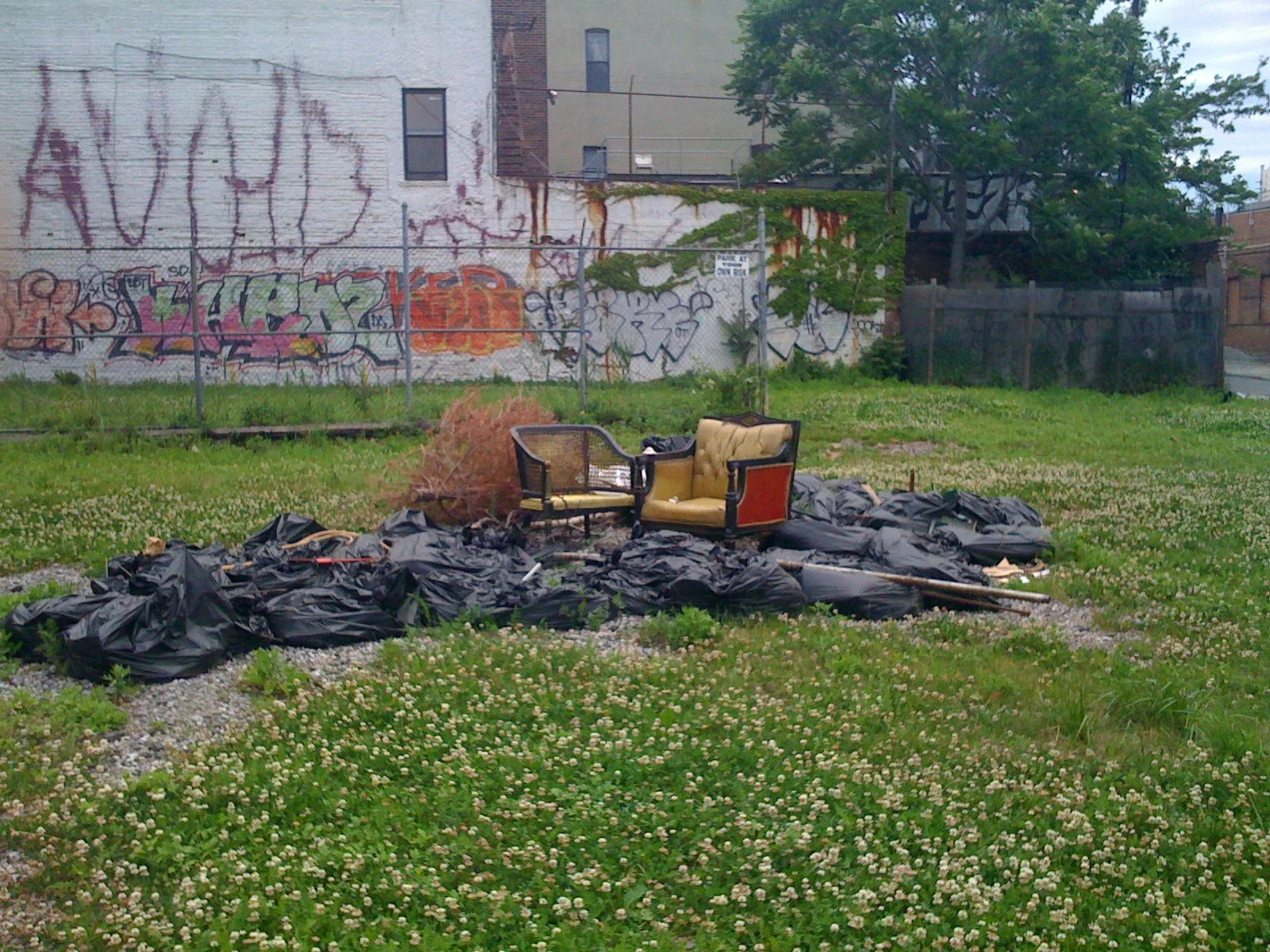 Kindling of the Vanities