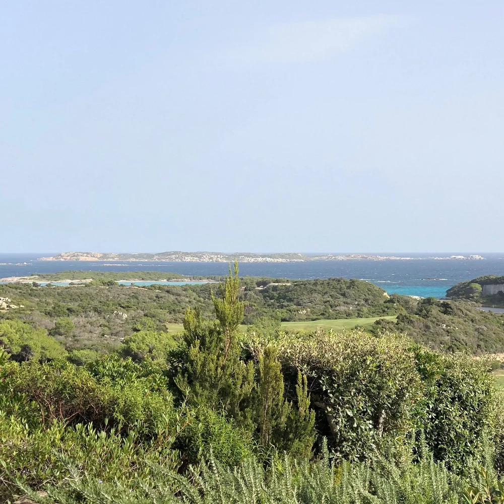 Capo sperone golf2.jpeg