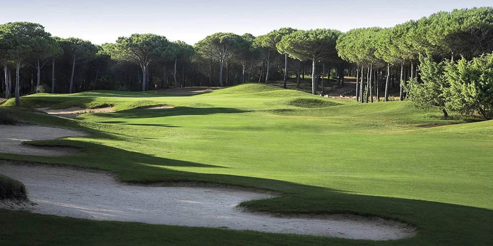 Is Arenas golf-0.jpeg