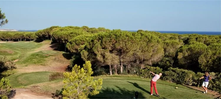 Is Arenas golf-5.jpeg