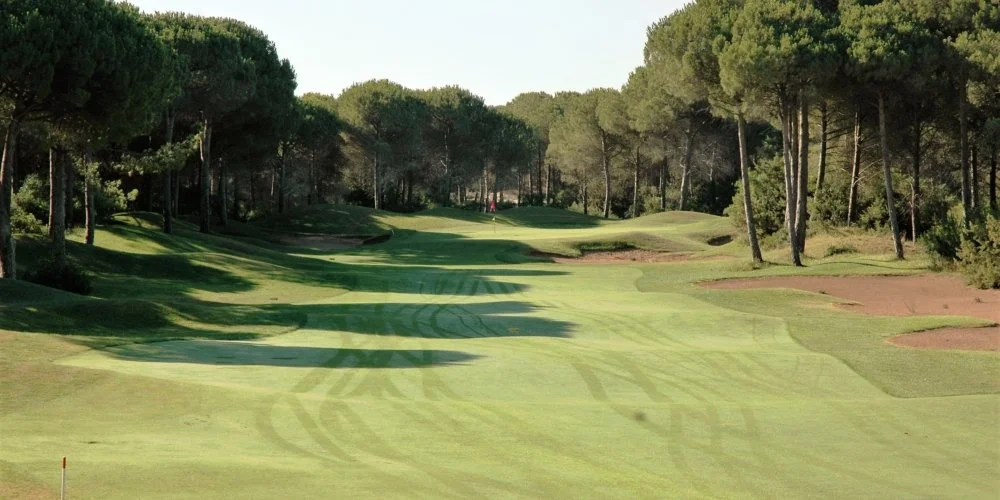 Is Arenas golf-7.jpeg