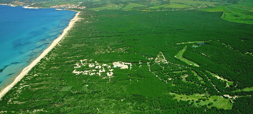 Is Arenas golf-9.jpeg