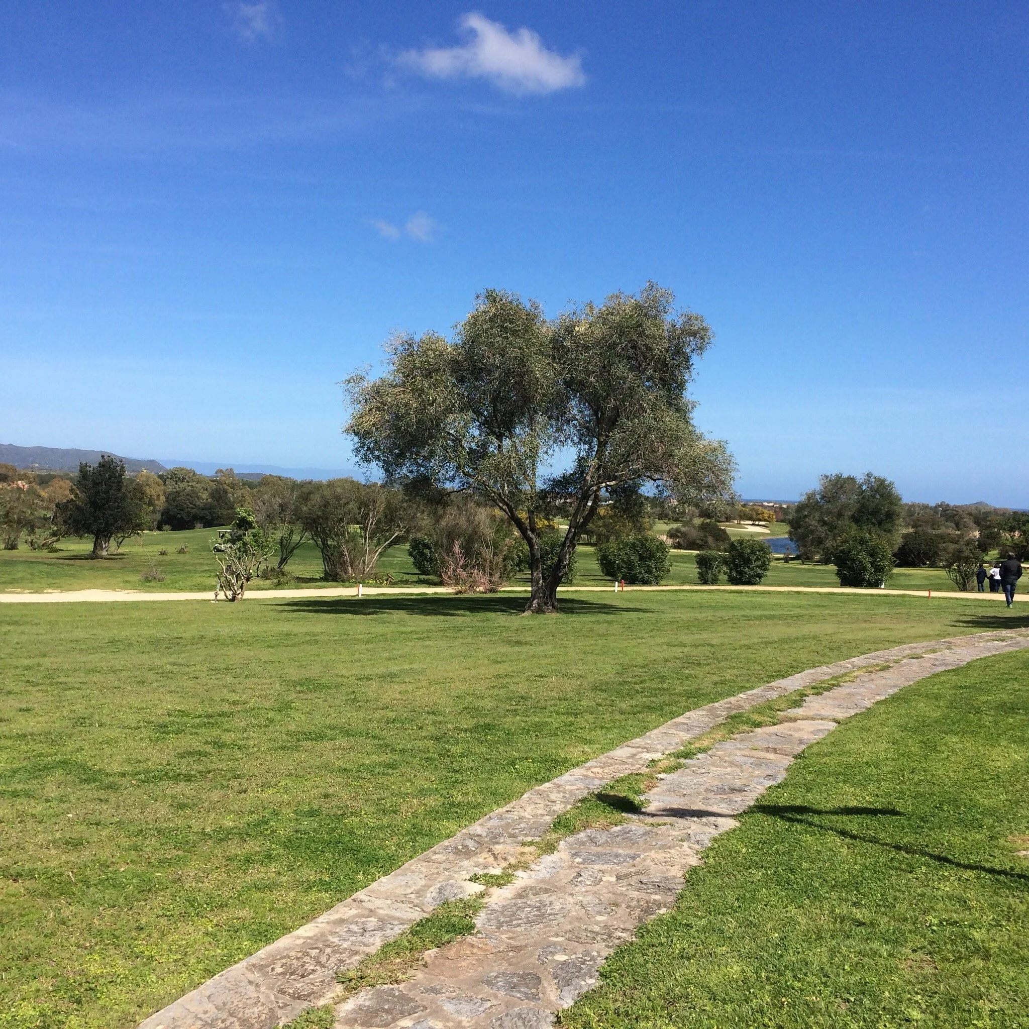 Is molas golf_campo-1.jpeg