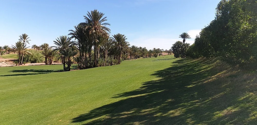 ASSOUFID_campo golf_gioco5.jpeg