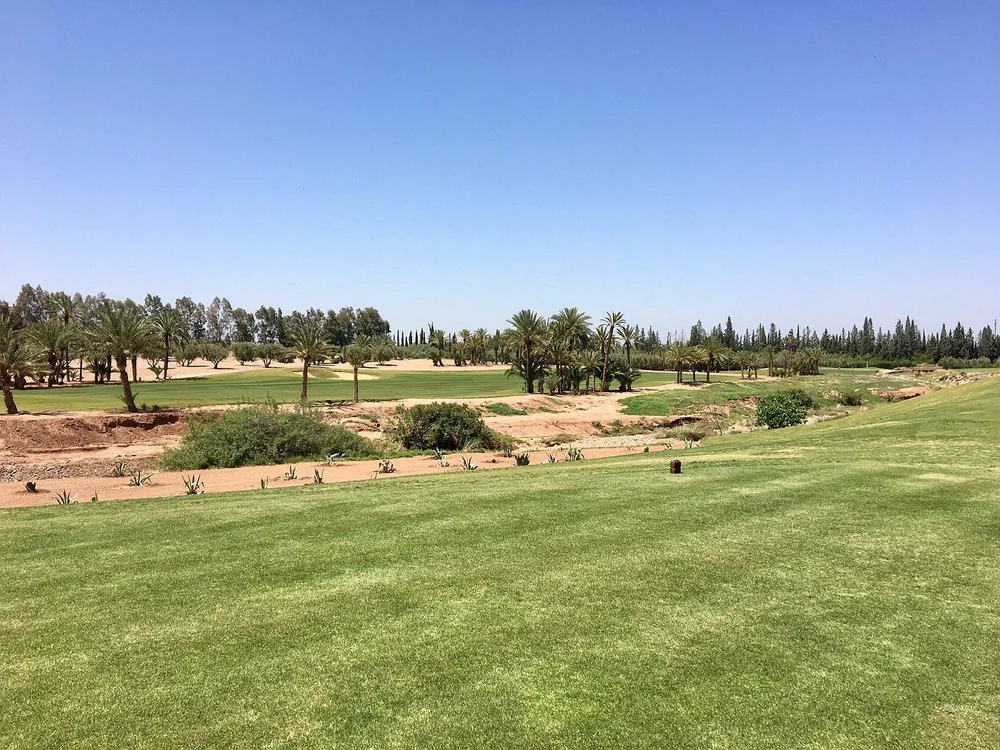 ASSOUFID_campo golf_gioco9.jpeg