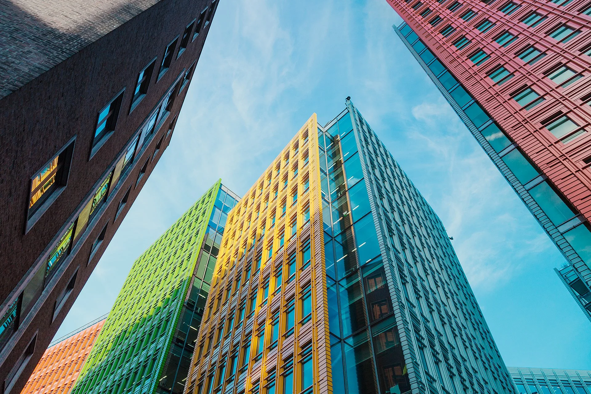 Google Buildings.jpeg