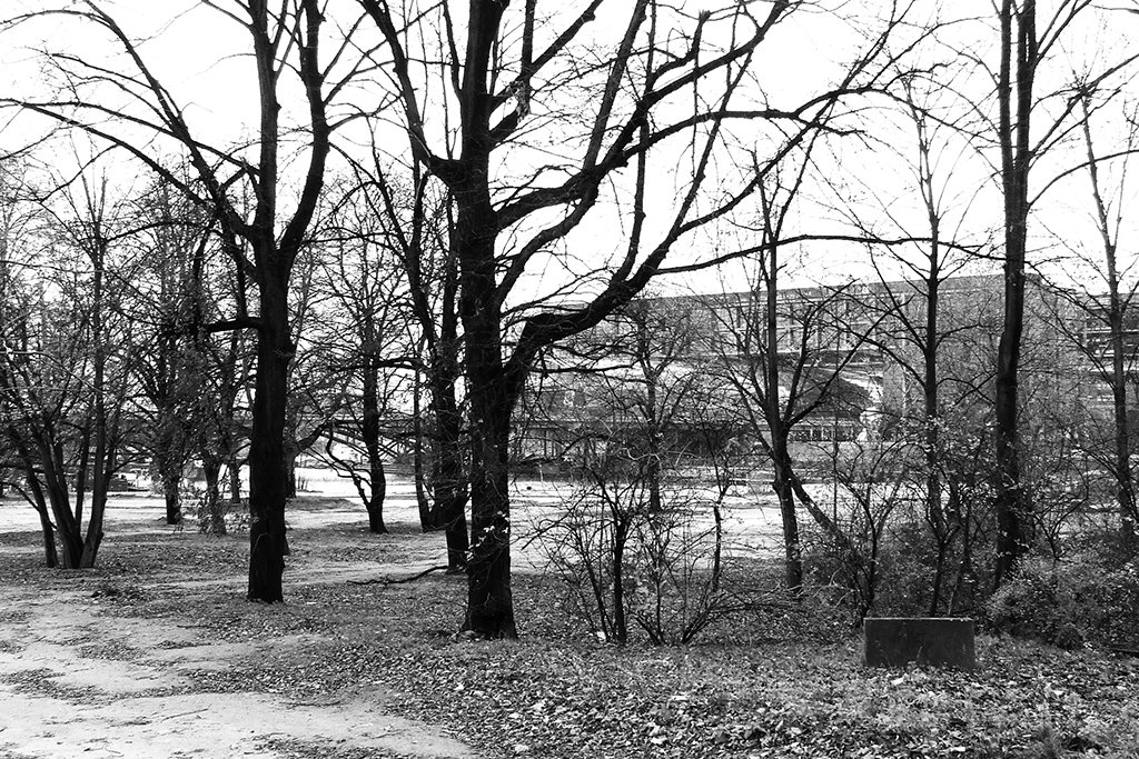 08_the site_01.jpg