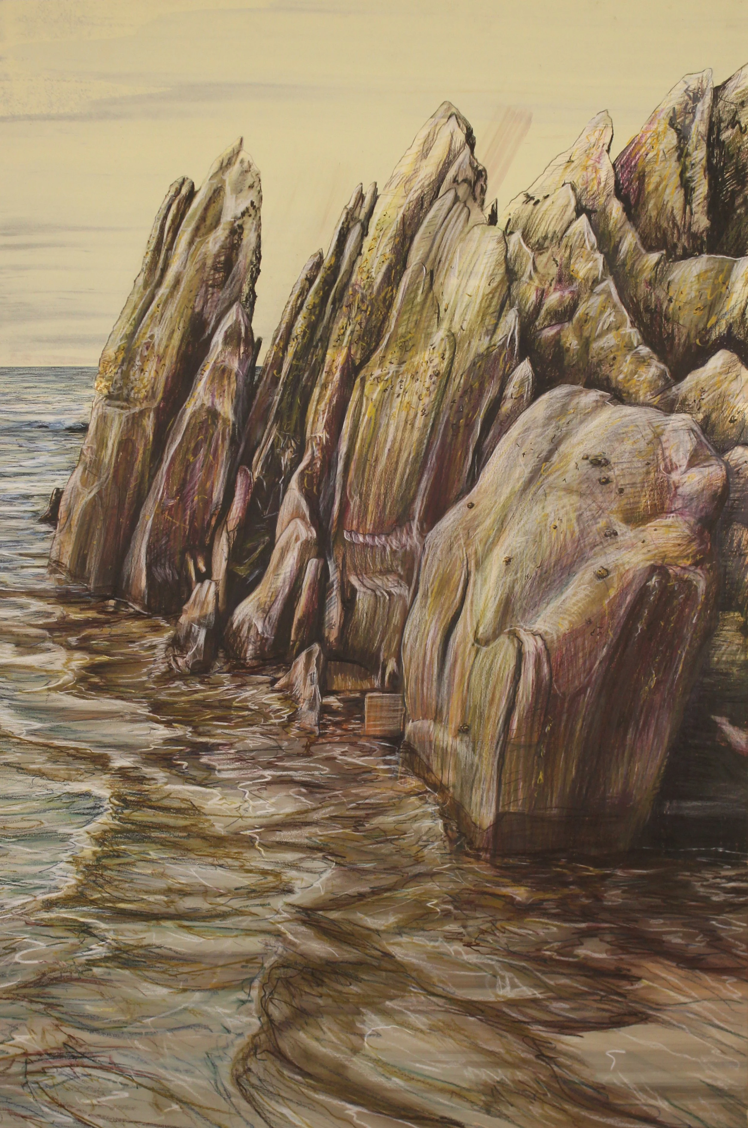 Rocks and Limpets on Freathy Beach, Cornwall