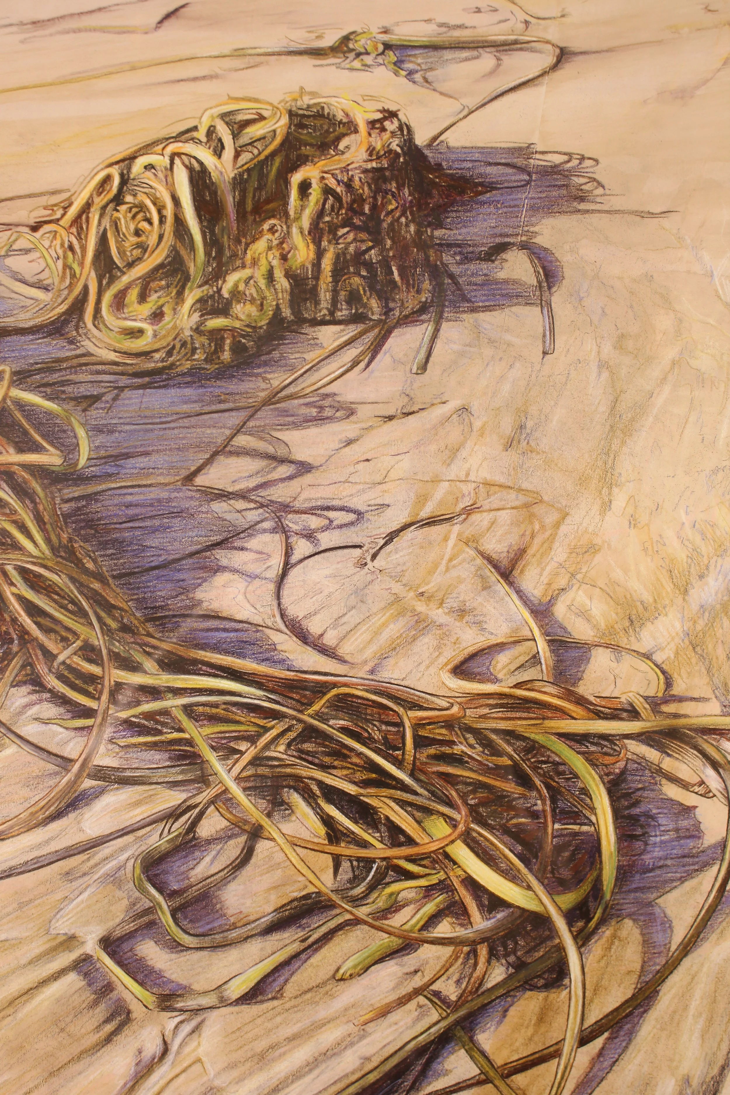 A tangled mass of orange and green gold seaweed has been left stranded on the golden Compton Beach on the Isle of Wight at high tide. Late sunset sunshine casts long mauve shadows across the intricate wave patterns the sea has left behind with the la