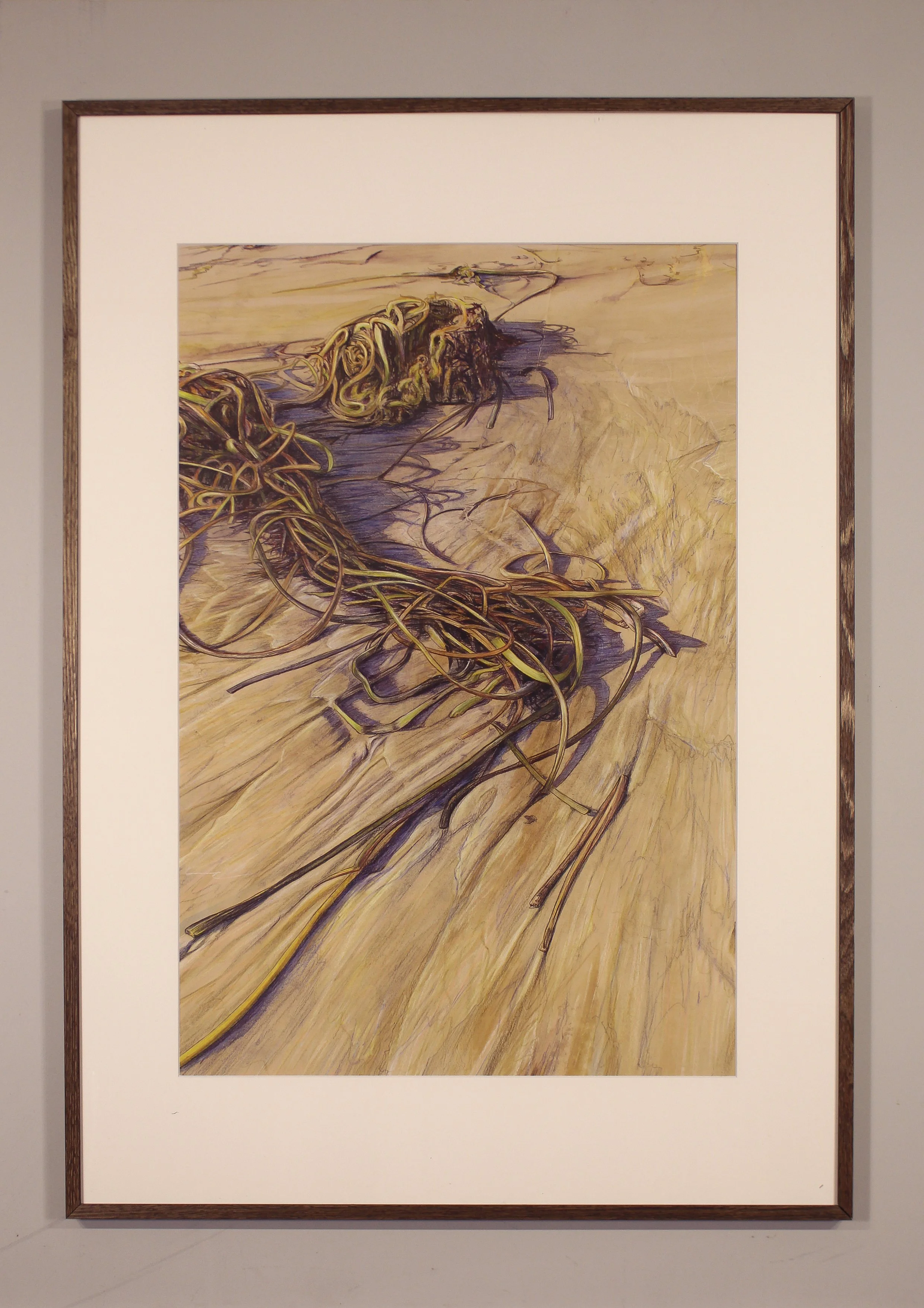 A tangled mass of orange and green gold seaweed has been left stranded on the golden Compton Beach on the Isle of Wight at high tide. Late sunset sunshine casts long mauve shadows across the intricate wave patterns the sea has left behind with the la