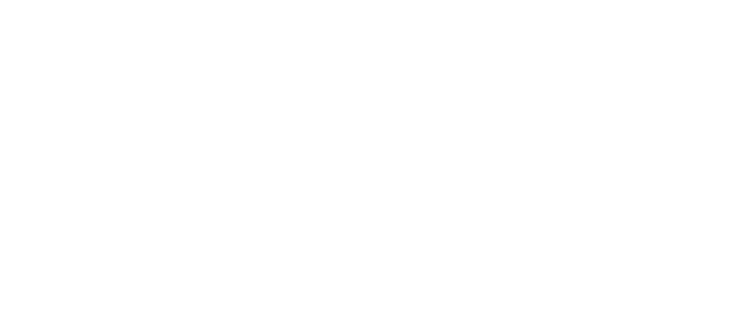 jesse timm music