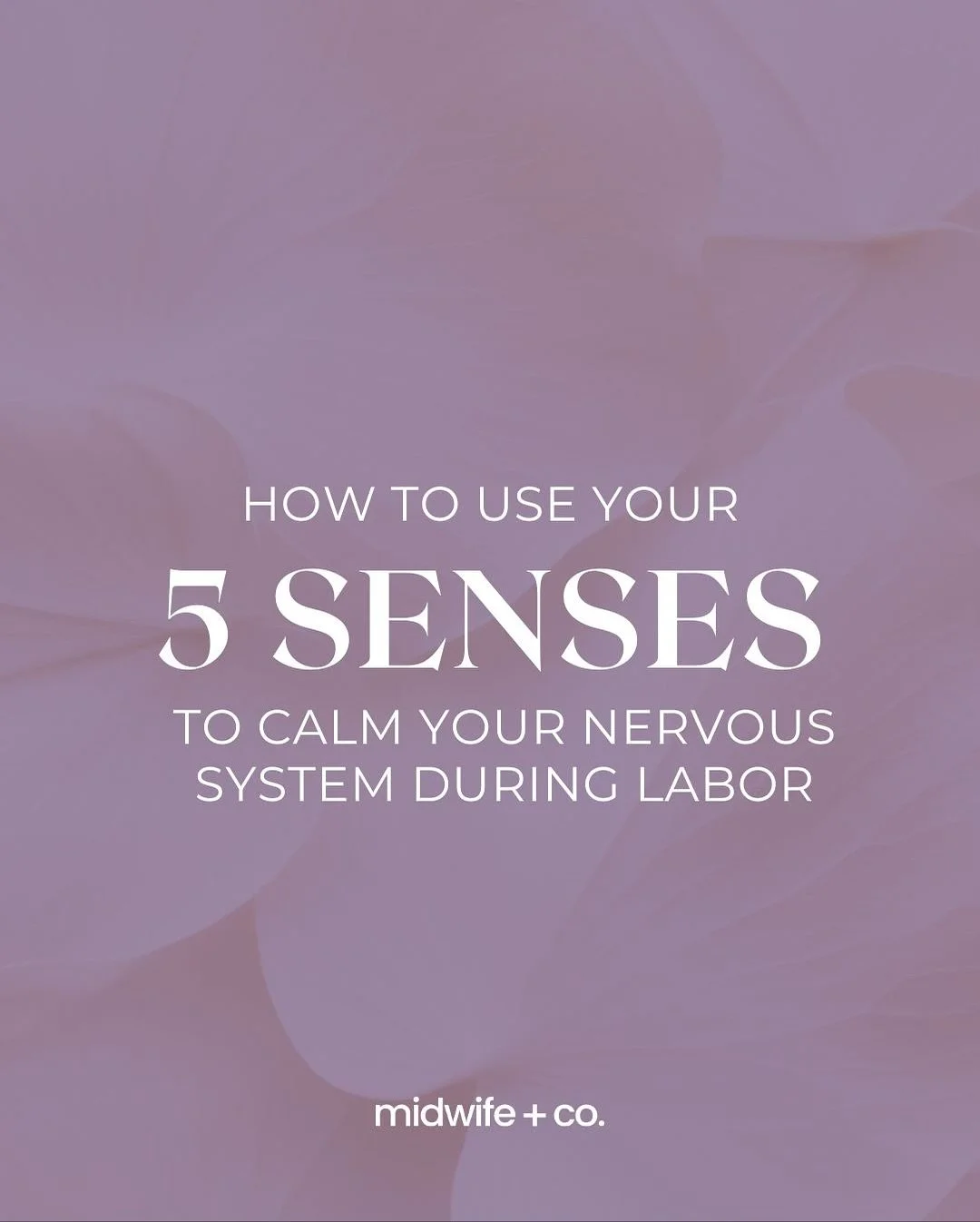 During labor, tuning into your senses can help calm your nervous system, signal safety to your body and bring you back to the present moment. 💫 From soft lighting,  to a gentle touch, share below what helped you feel calm + centered during labor.

#