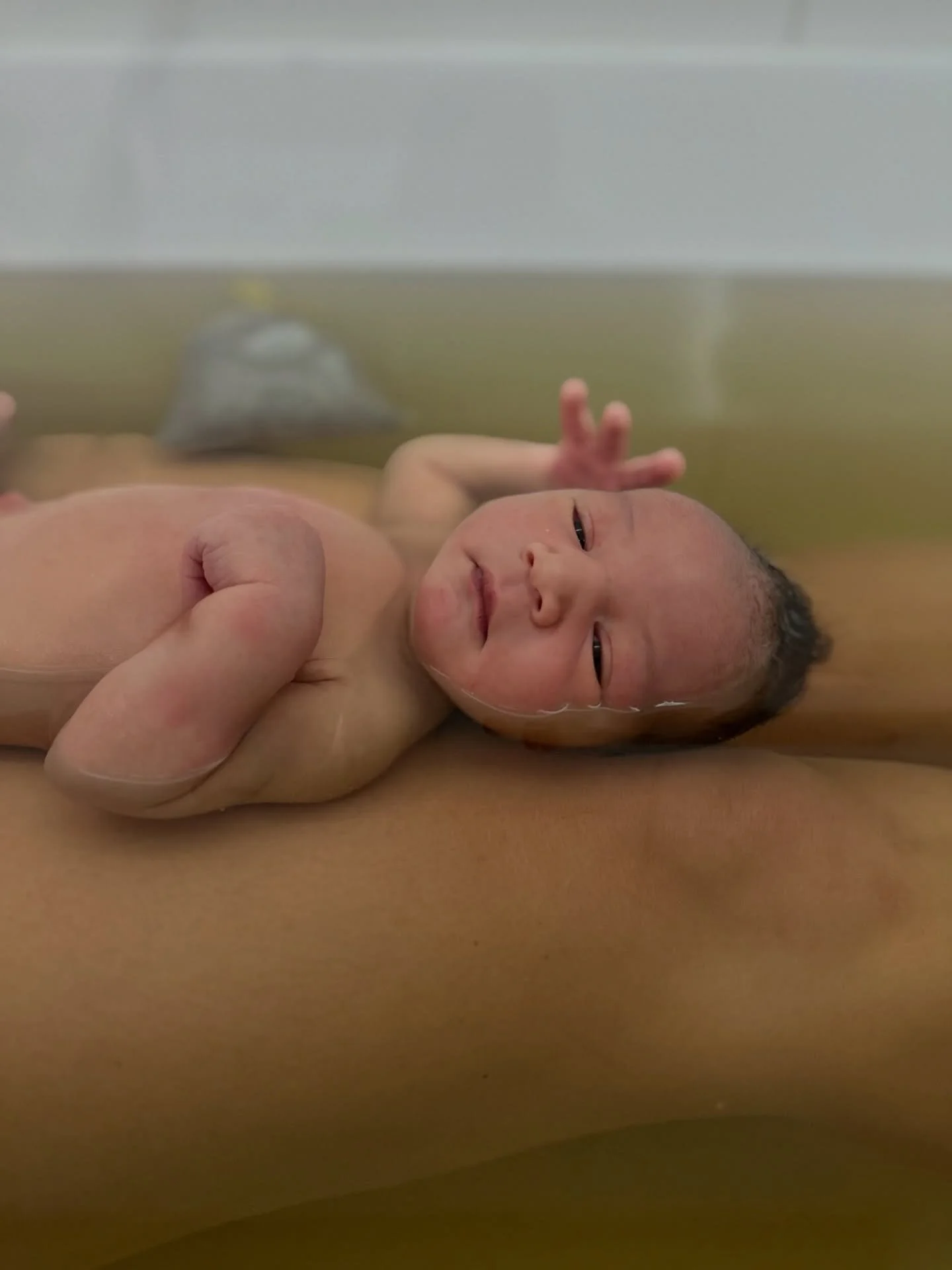 We&rsquo;re excited to now offer postpartum herbal baths for families delivering with Midwife+Co at Texas Health Harris Methodist Hospital Fort Worth 🤍

These baths are prepared with herbs traditionally used to support postpartum healing, reduce swe