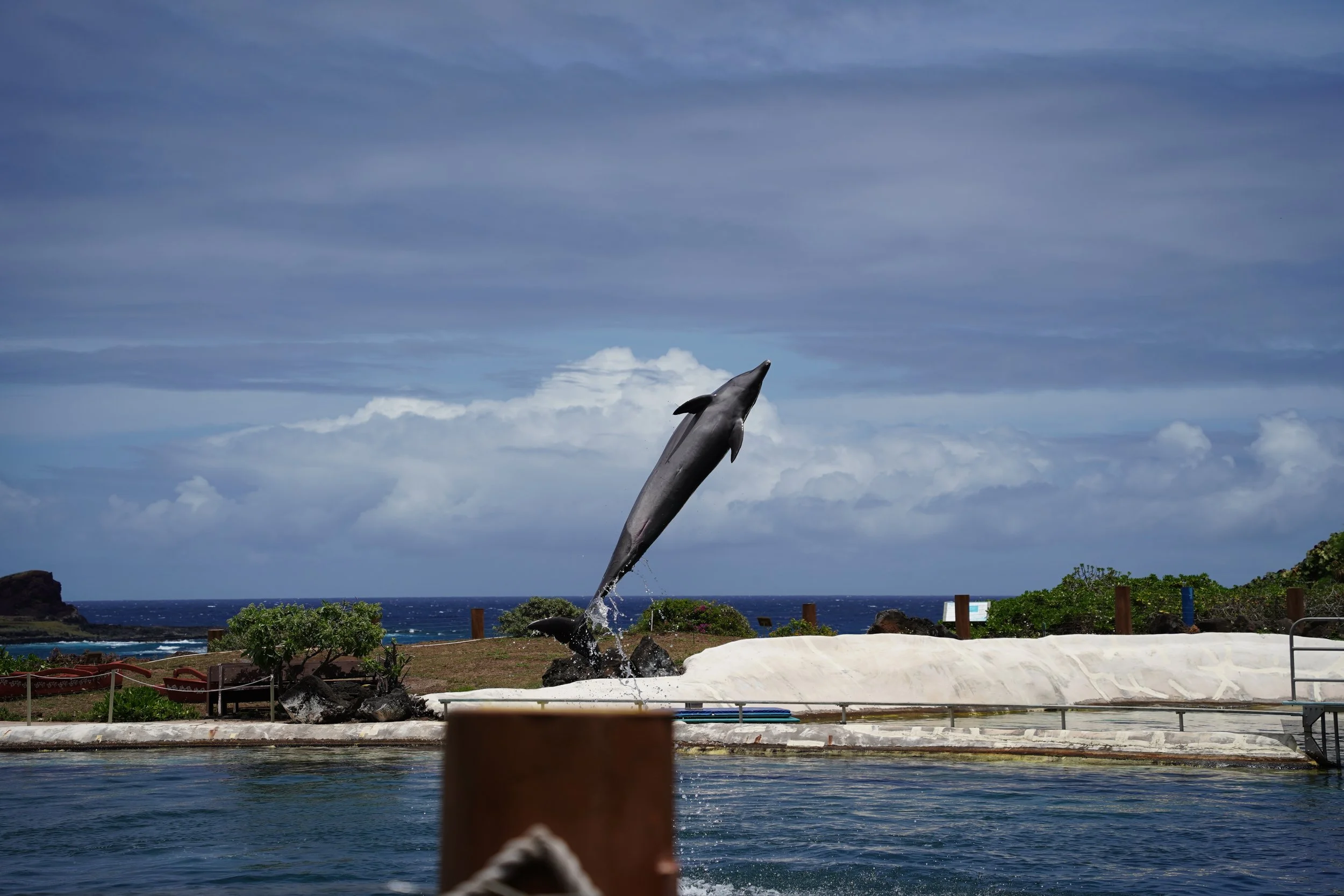 2022-04-15 12-30-45.jpg