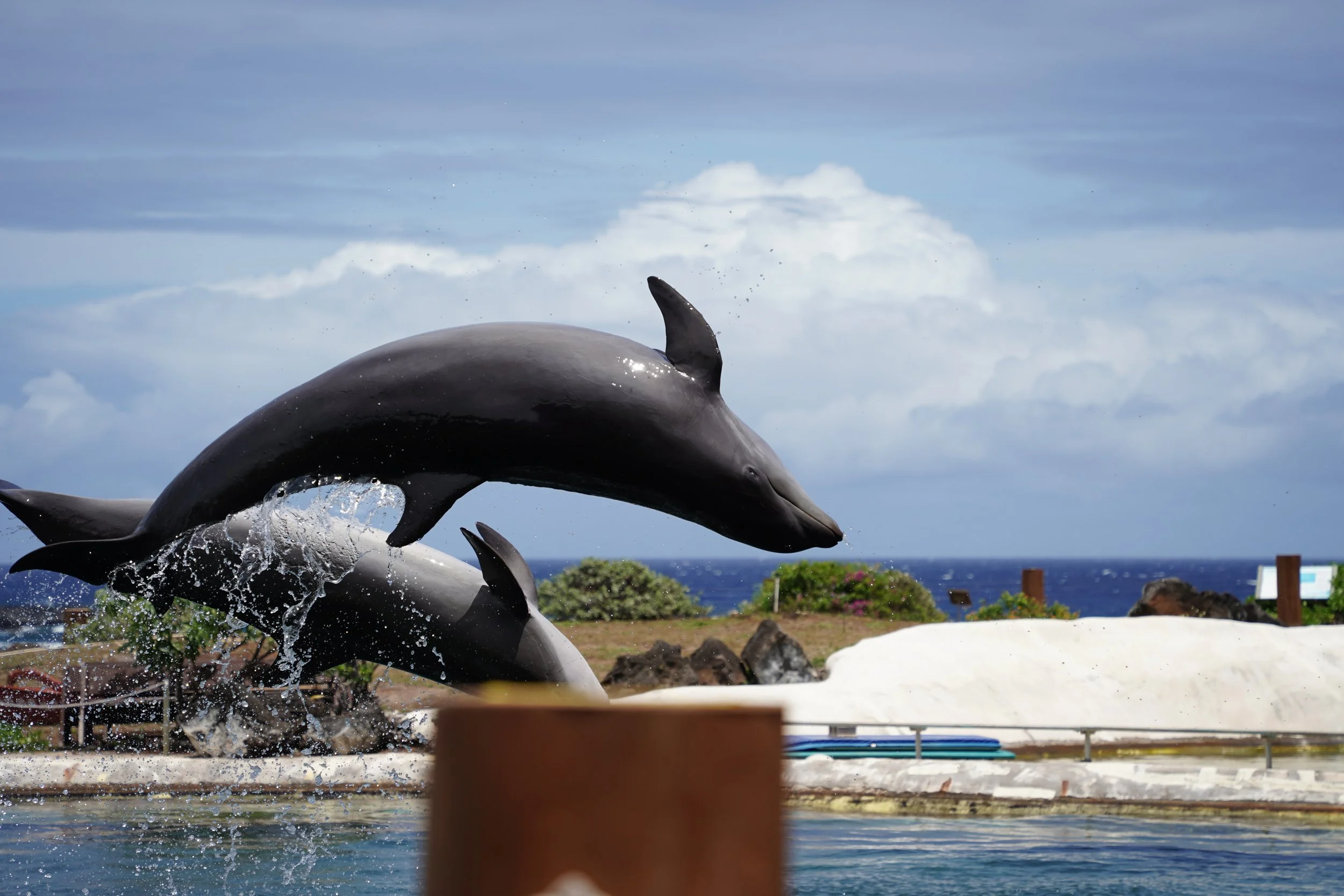 2022-04-15 12-30-35.jpg