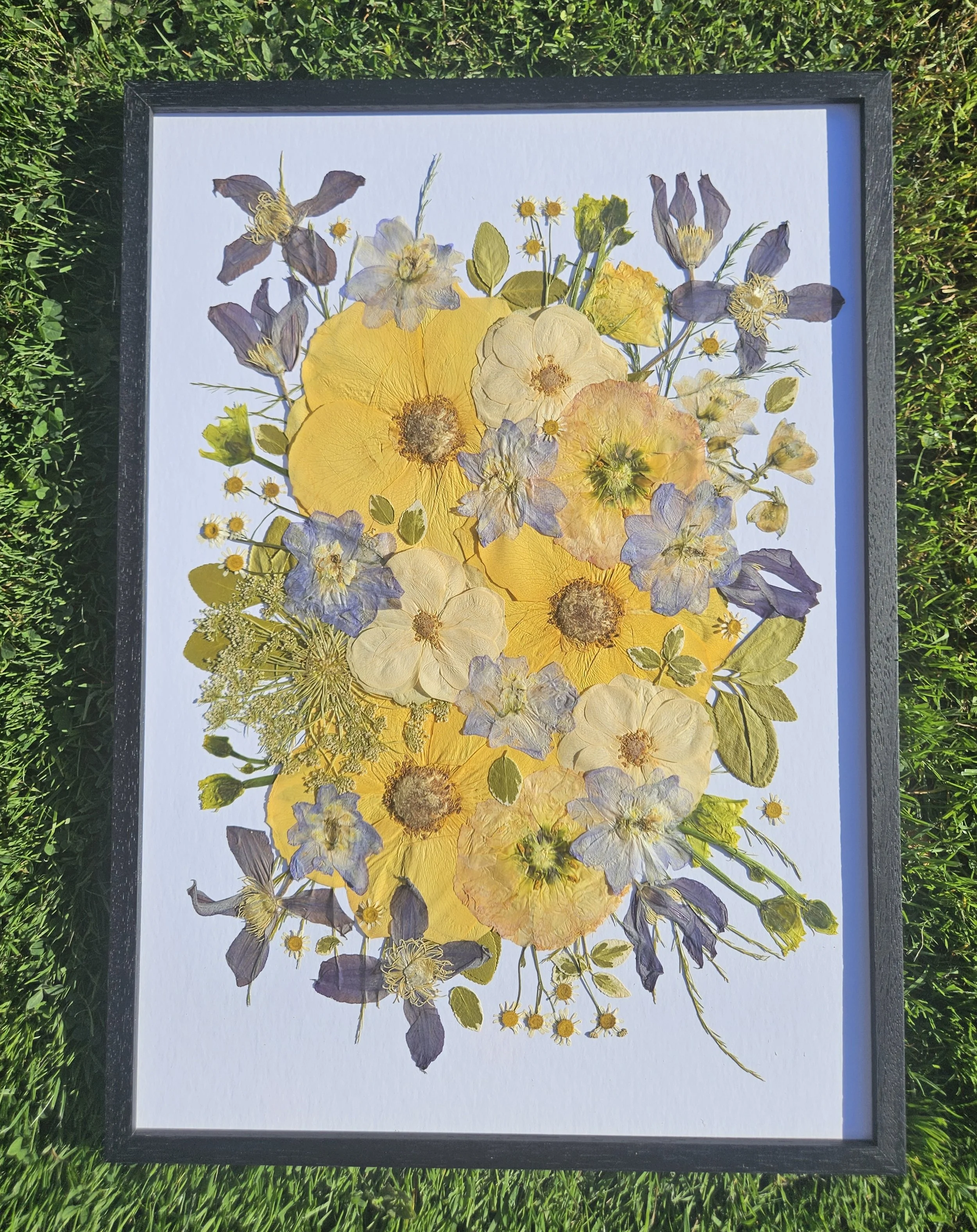 1000043519.jpg