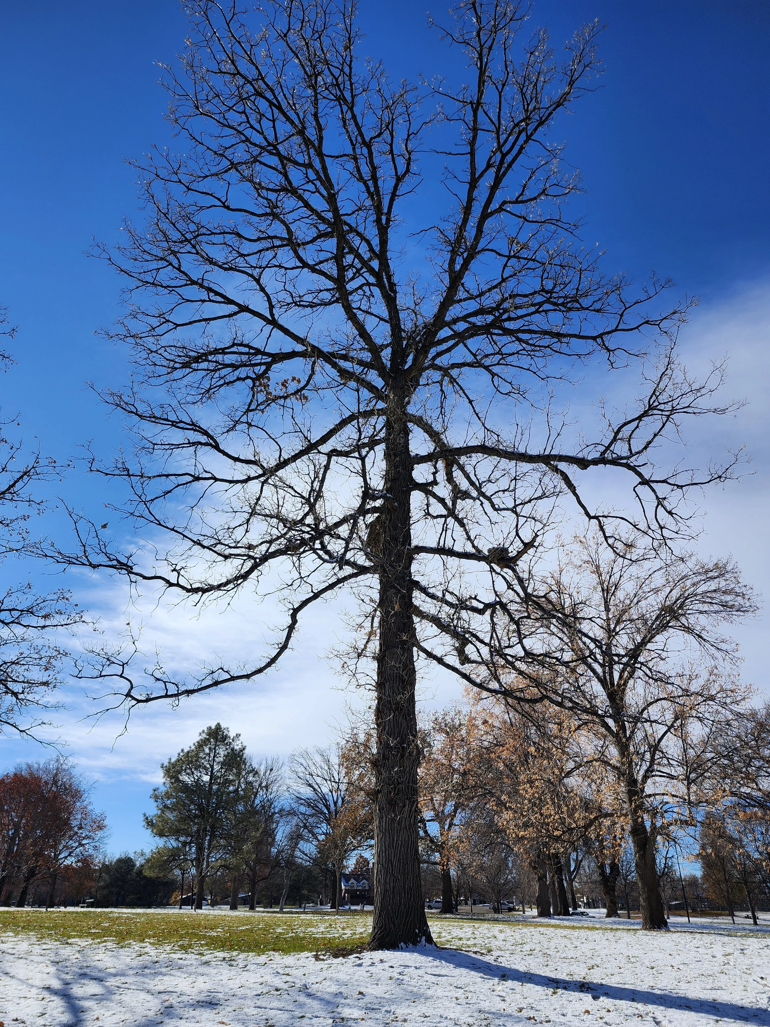 If I blog without sharing a link, will anyone read it?