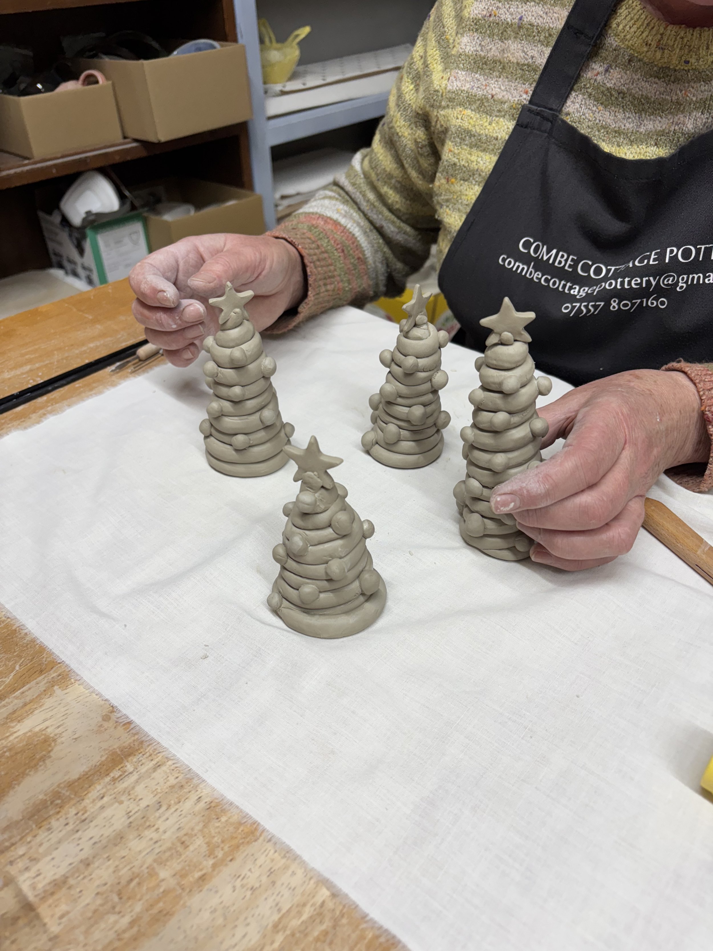   
 Julia has been adding to her Christmas tree collection again this year!  
 