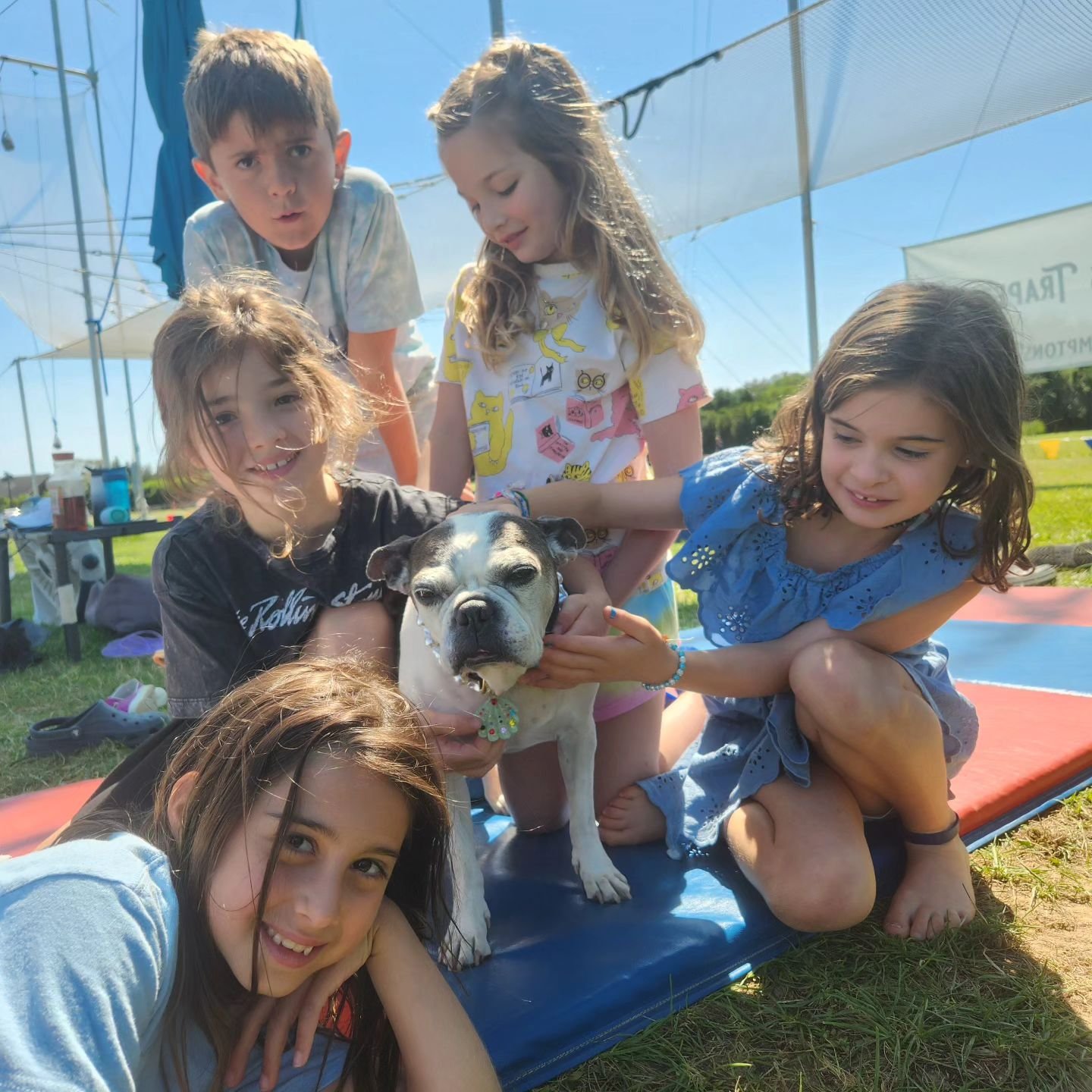Fun with friends at trapeze 🐕

There's still a few places in the August workshop! Link in bio to register 🎟