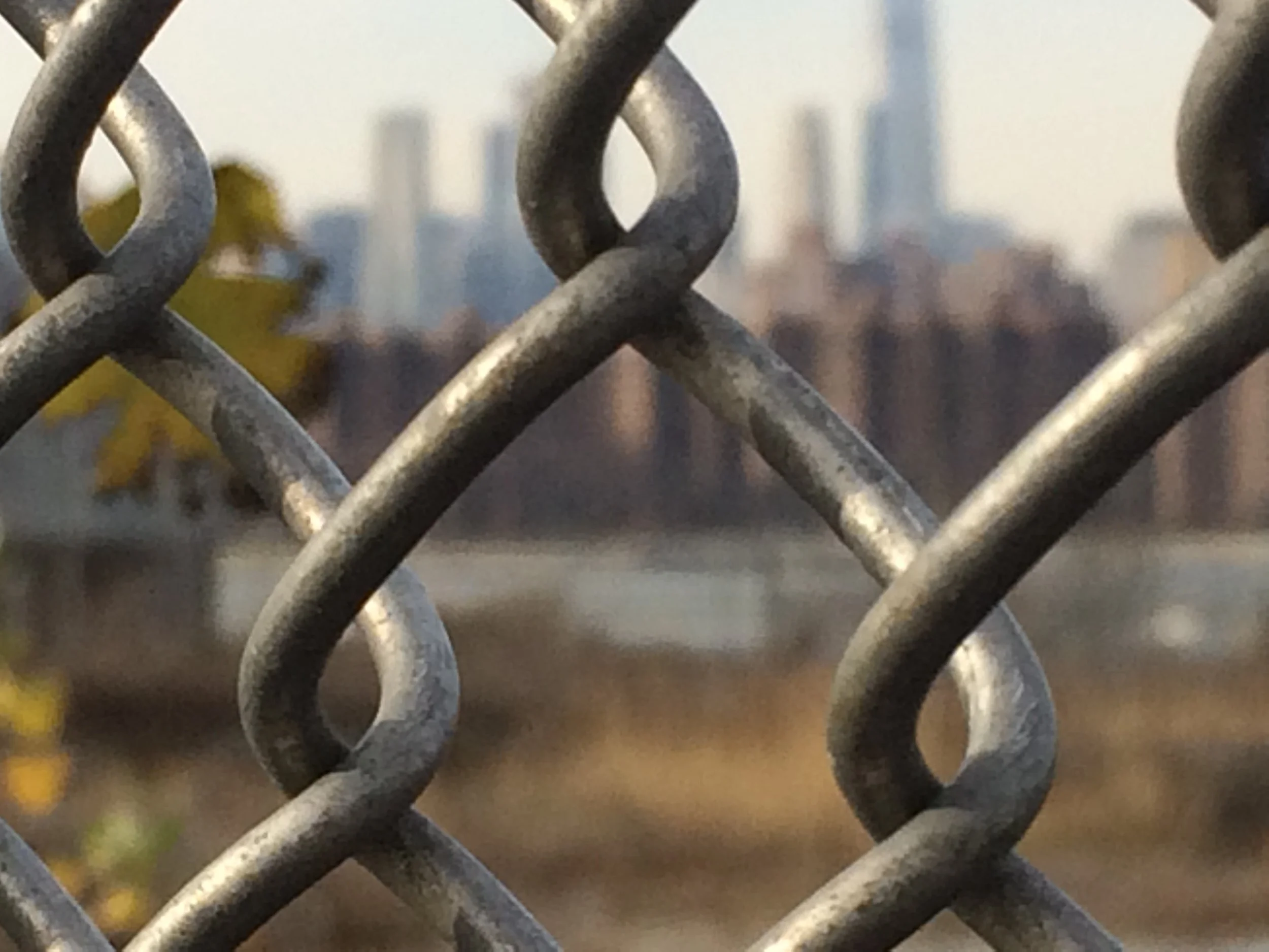 Almost WildNYC