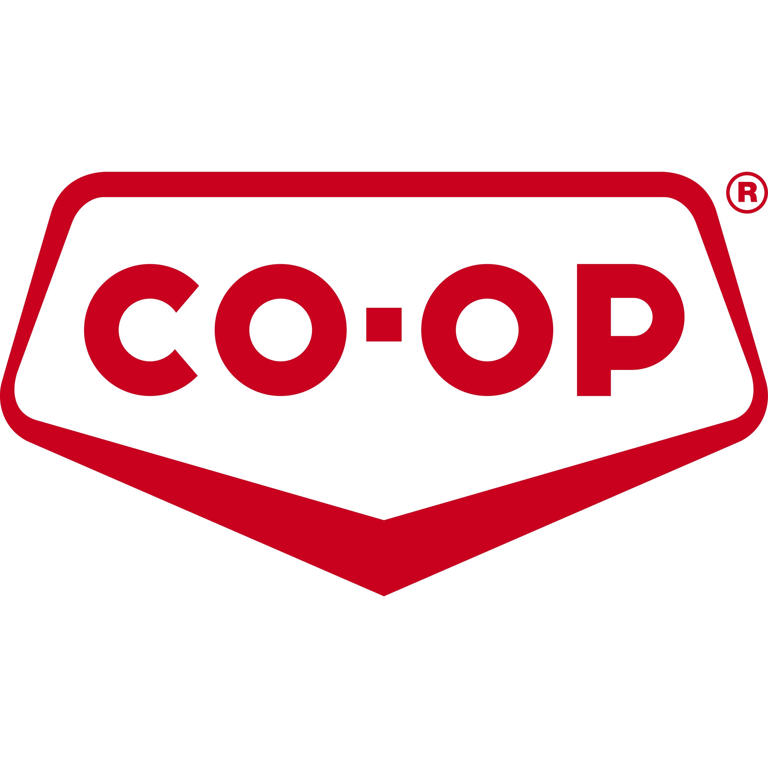 Co-op_2013_shield_pms200.jpg