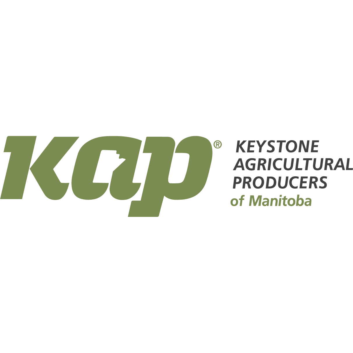 KAP Logo-01.png