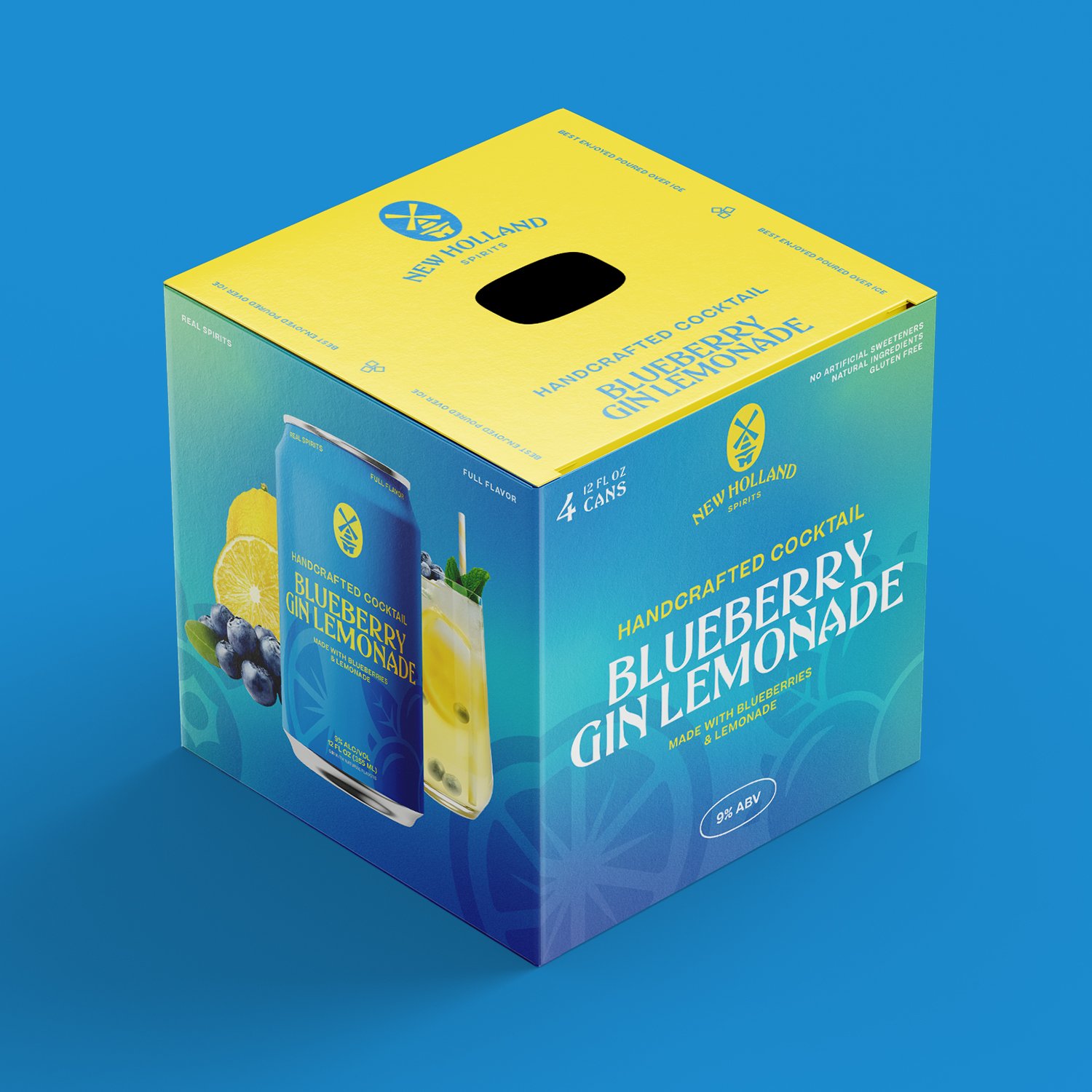 NHBC-Website-BlueberryLemonade-Pack.jpg