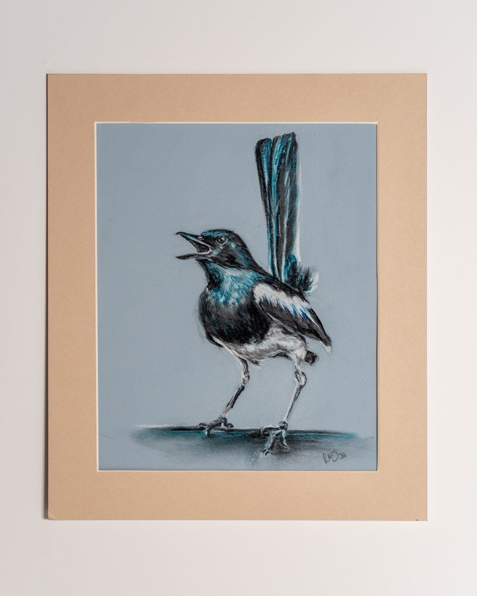 Magpie Garden Bird Pastel and Pencil Original Drawing Mounted by Gloucestershire Bristol and Cotswolds Artist Rose-Marie MJ
