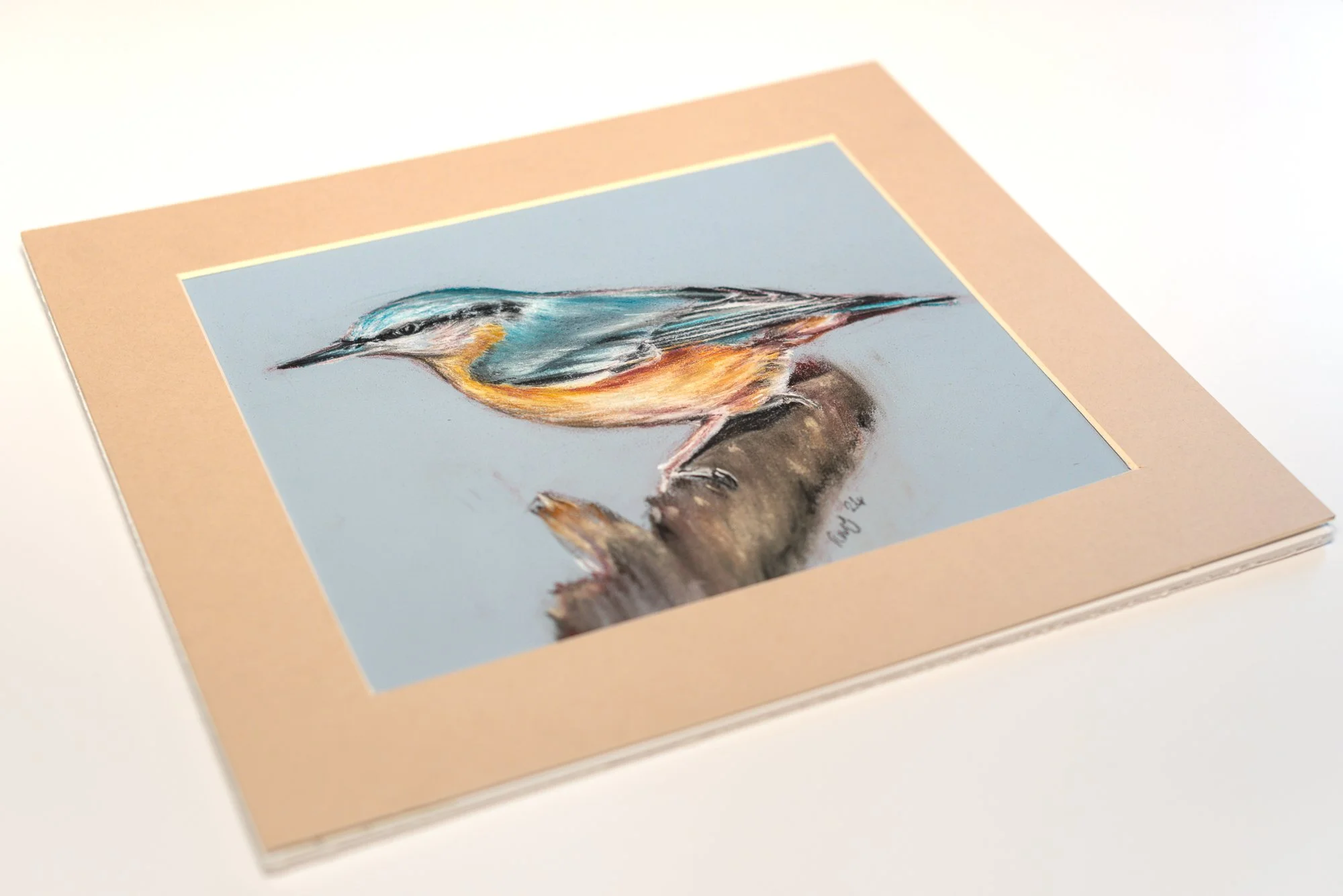 Nuthatch Garden Bird Pastel and Pencil Original Drawing Mounted by Gloucestershire Bristol and Cotswolds Artist Rose-Marie MJ