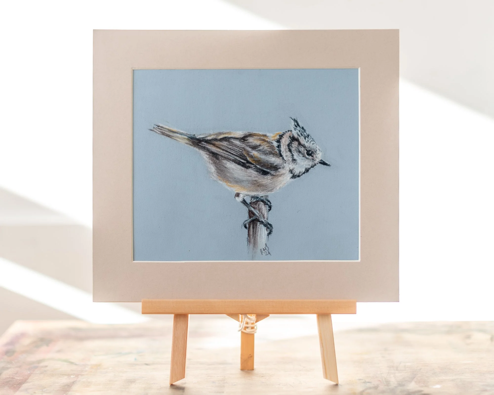 Crested Tit Garden Bird Pastel and Pencil Original Drawing Mounted by Gloucestershire Bristol and Cotswolds Artist Rose-Marie MJ