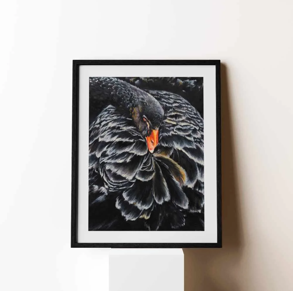Black Swan - Framed Example.jpg