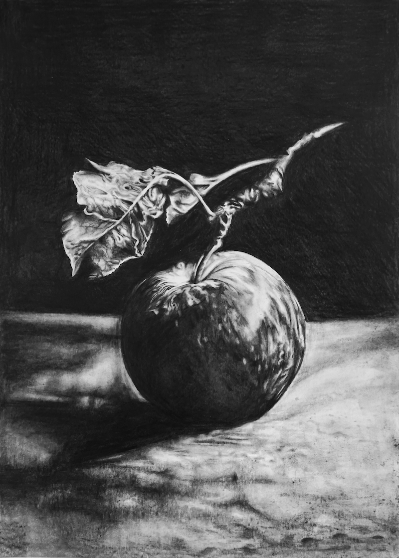 The Culprit - Graphite on paper - NFS