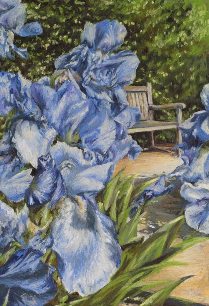 When The Irises Were Out - Painswick Rococo Garden Summer Drawing