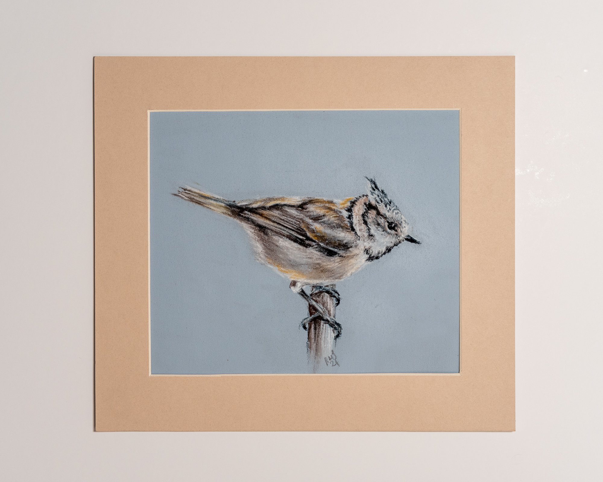 Crested Tit Garden Bird Pastel and Pencil Original Drawing Mounted by Gloucestershire Bristol and Cotswolds Artist Rose-Marie MJ
